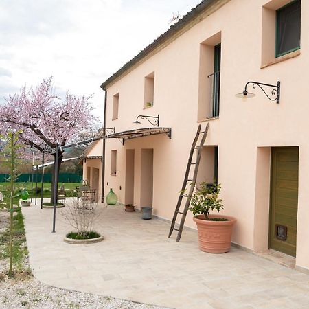 B&B Le Rondini Ostra Senigallia Casine (Ancona) Exterior foto