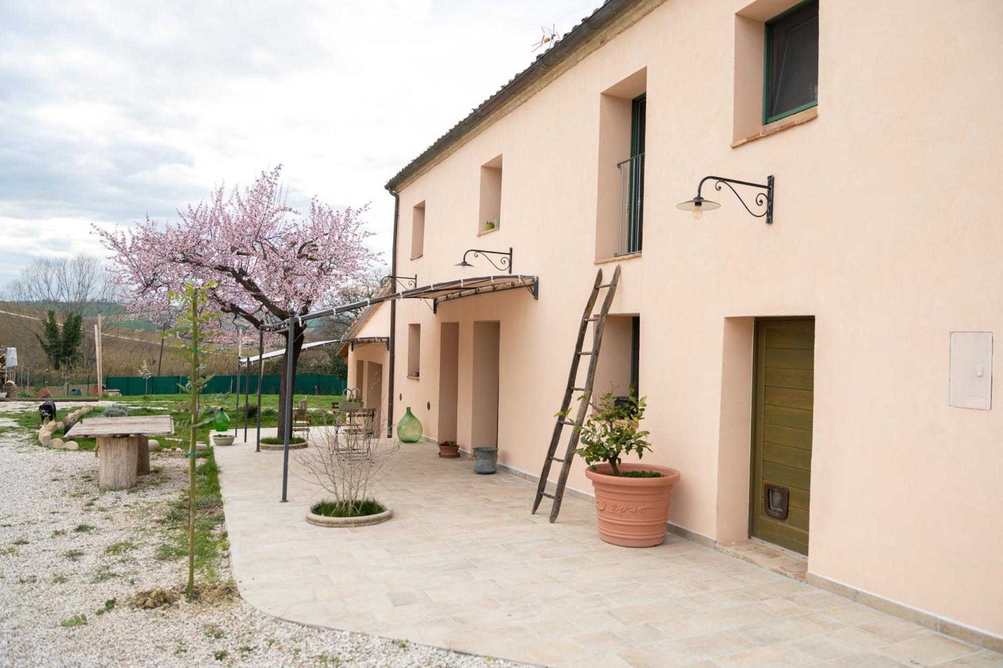 B&B Le Rondini Ostra Senigallia Casine (Ancona) Exterior foto