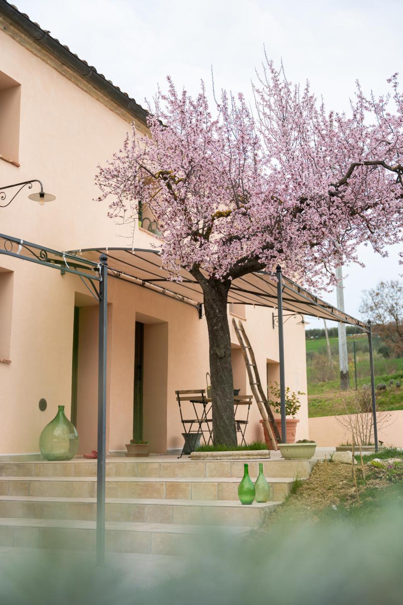 B&B Le Rondini Ostra Senigallia Casine (Ancona) Exterior foto